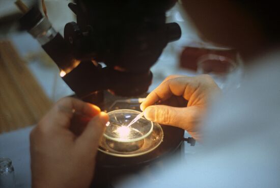 Neuron cell isolation