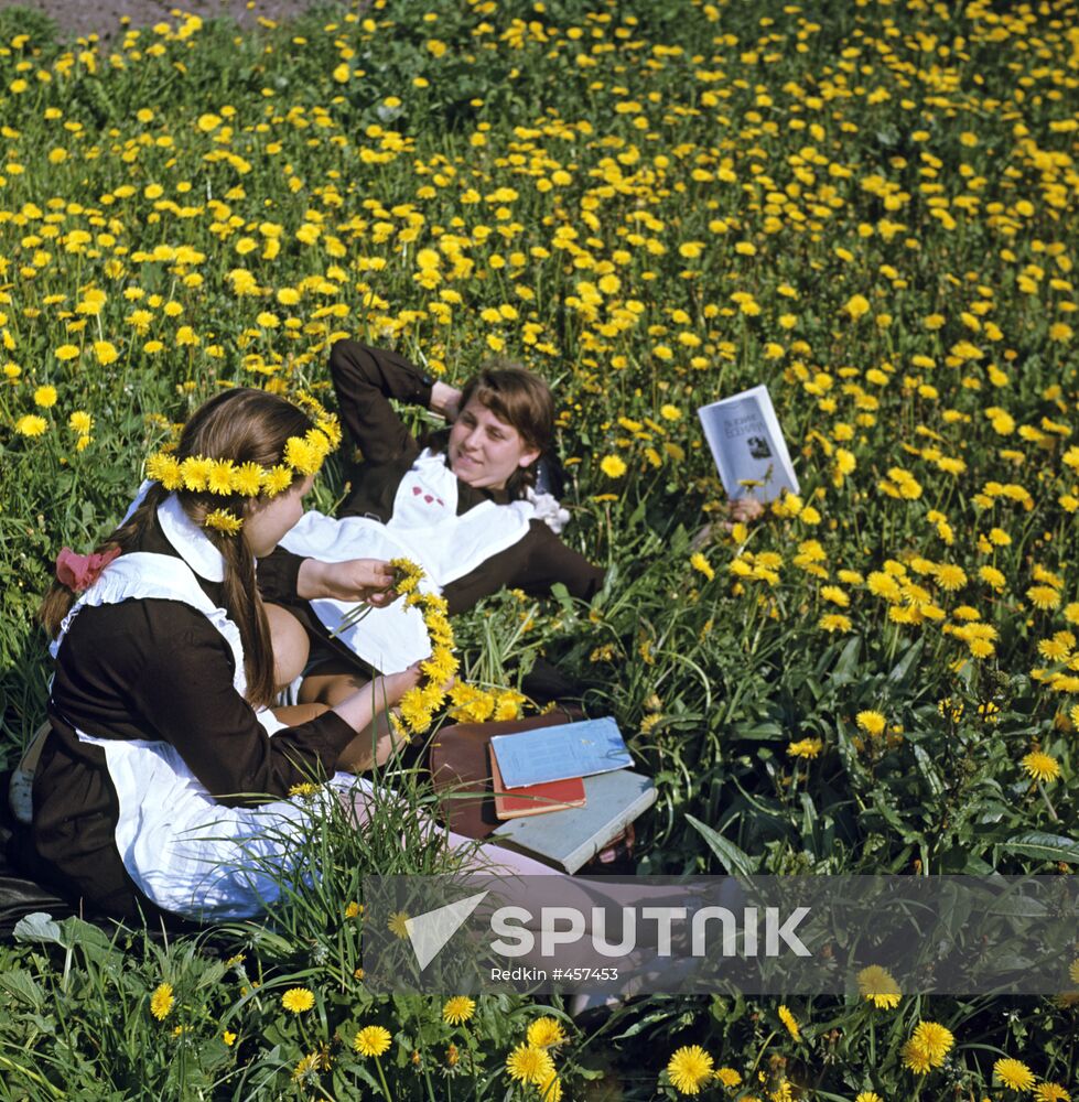 School pupils in a dandelion meadow