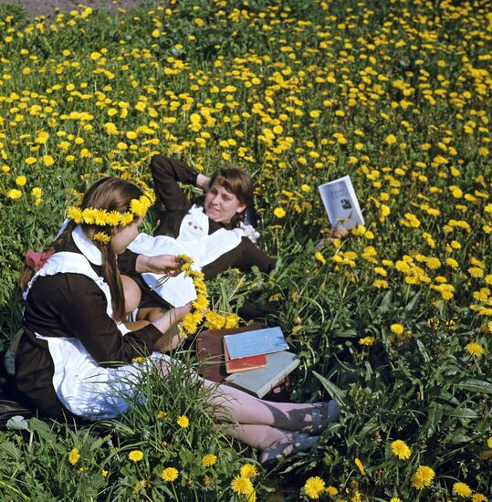 School pupils in a dandelion meadow