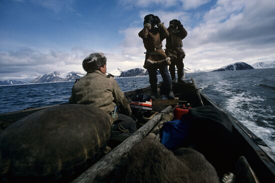 Walrus and seal hunting