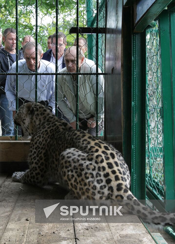 Vladimir Putin visits Sochi National Park