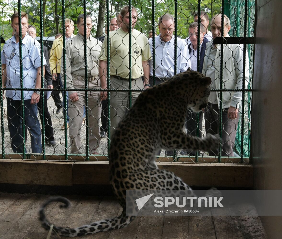 Vladimir Putin visits Sochi National Park