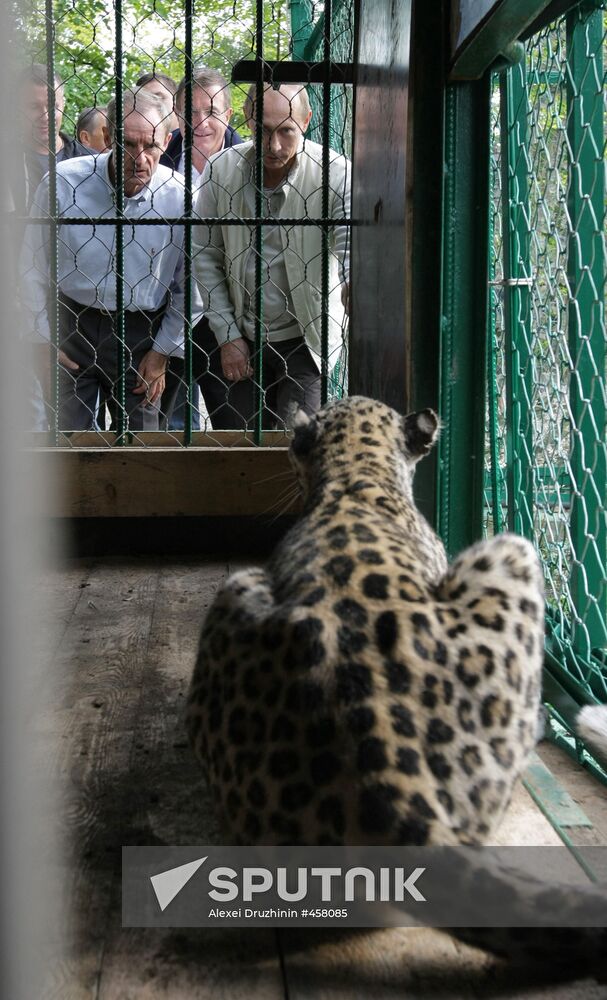 Vladimir Putin visits Sochi National Park