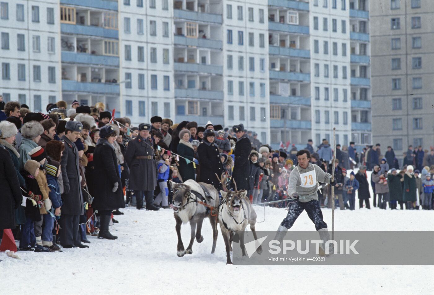 Reindeer breeder competition