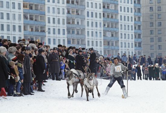 Reindeer breeder competition