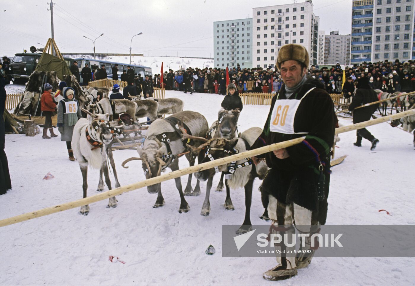 Reindeer breeder competition