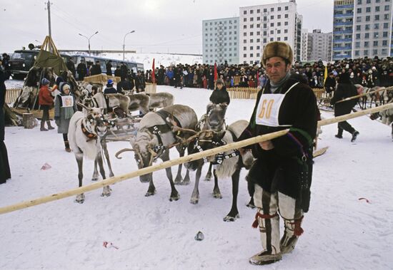 Reindeer breeder competition