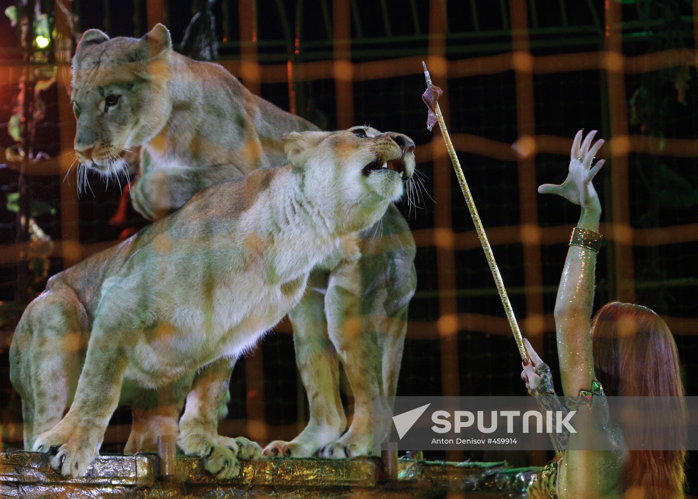 Moscow State Circus on Vernadsky Prospekt presents new show