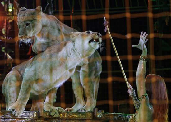 Moscow State Circus on Vernadsky Prospekt presents new show