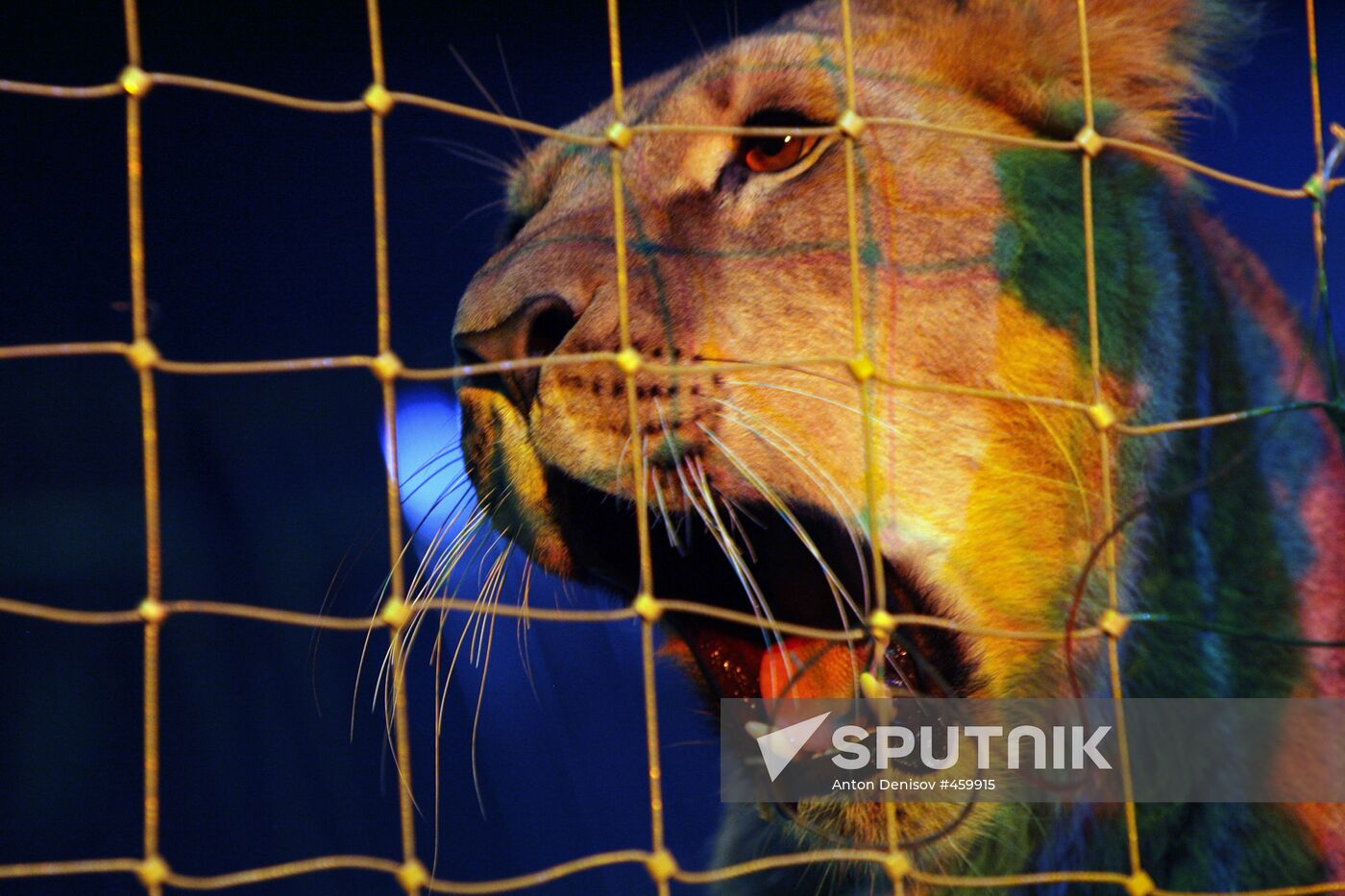 Moscow State Circus on Vernadsky Prospekt presents new show