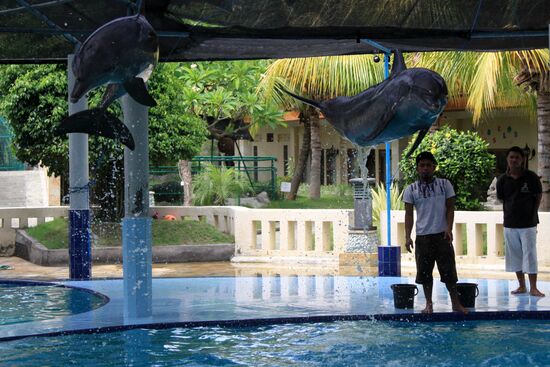Foreign countries. Indonesia. Bali holiday