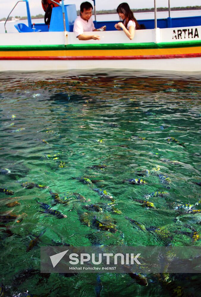 Foreign countries. Indonesia. Bali holiday