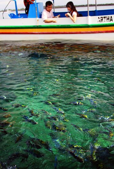 Foreign countries. Indonesia. Bali holiday