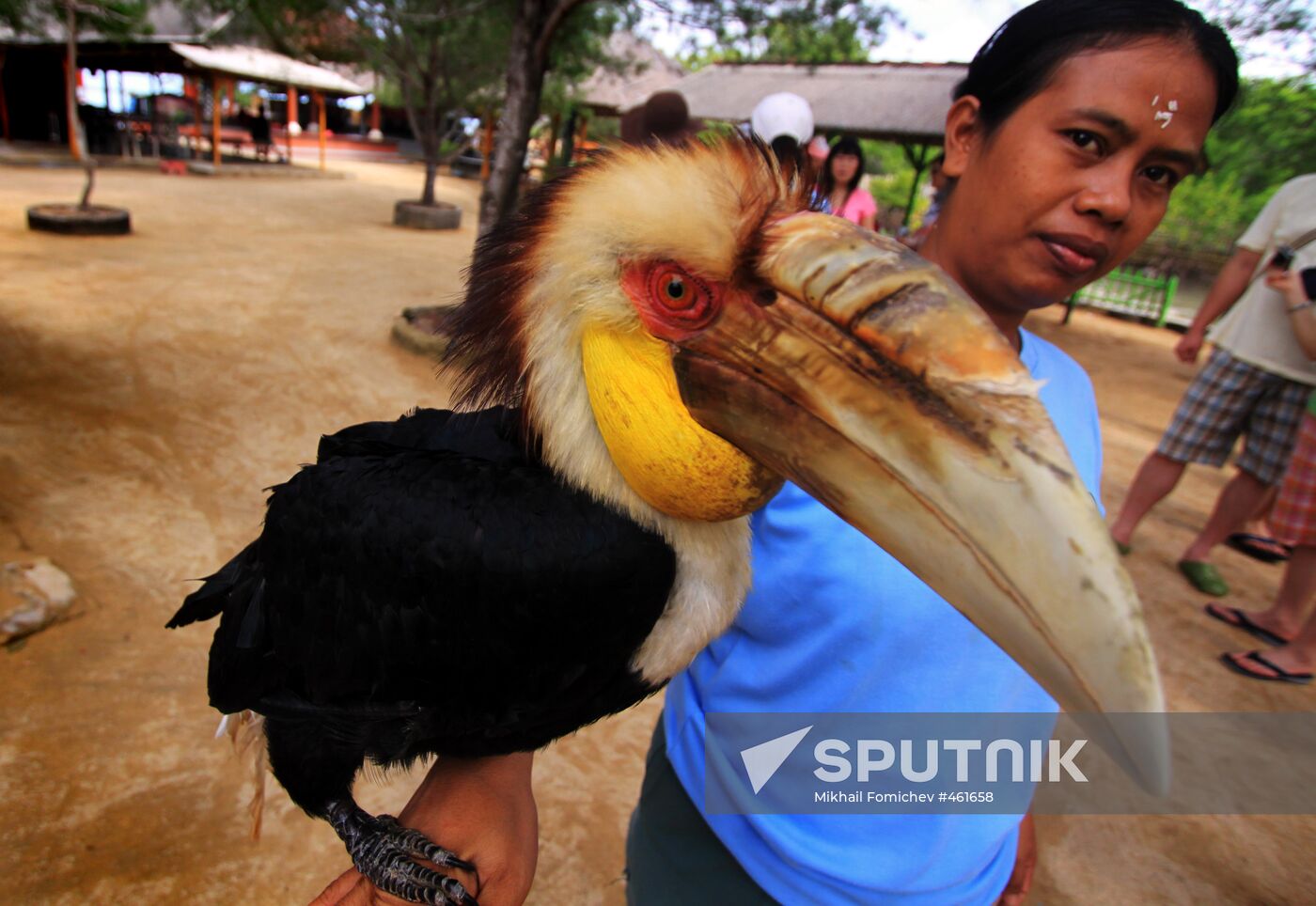 Foreign countries. Indonesia. Bali holiday