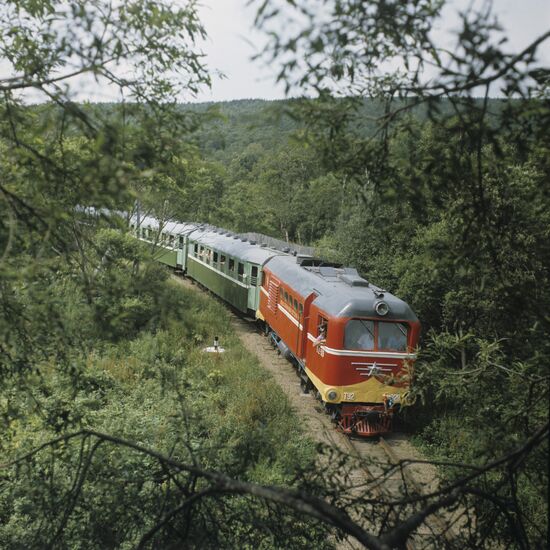Train on children's railroad