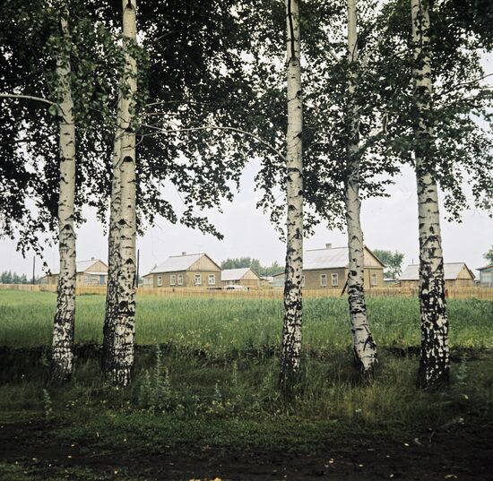 New houses