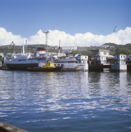 Cargo and passenger ferry at a pier