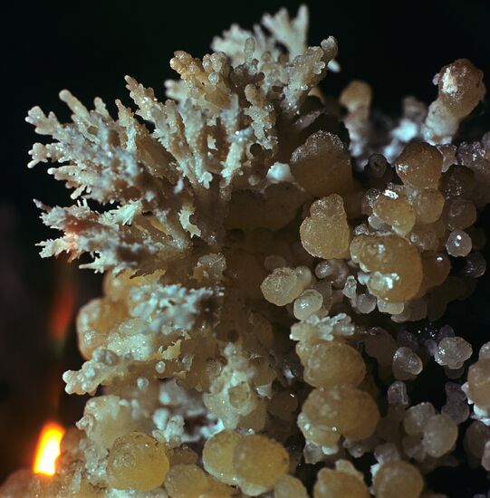 Limestone cave