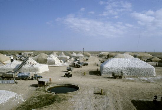 Cotton station