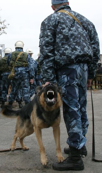 Khabarovsk Territory holds tactical exercise