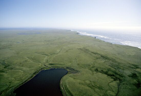 Polonsky Island