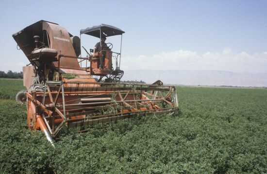 Combine harvester “Kuibyshevets”