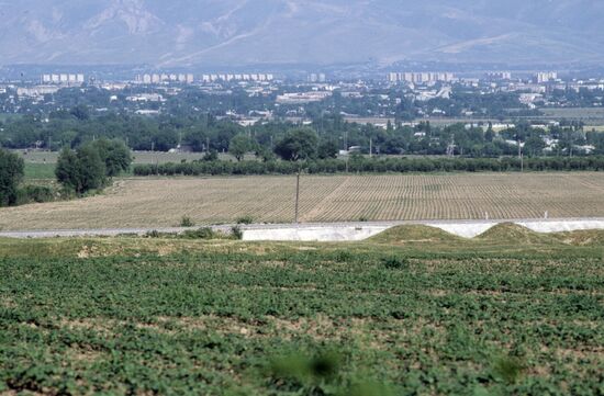 Fields of Vakhsh branch