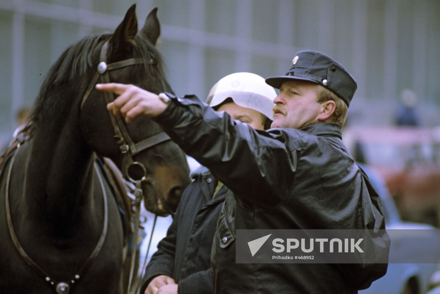 Horse police patrol