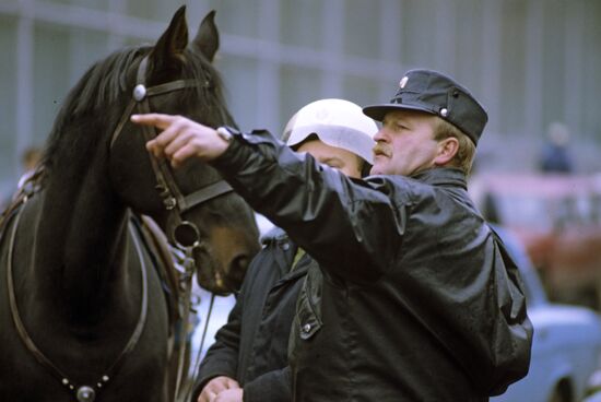 Horse police patrol
