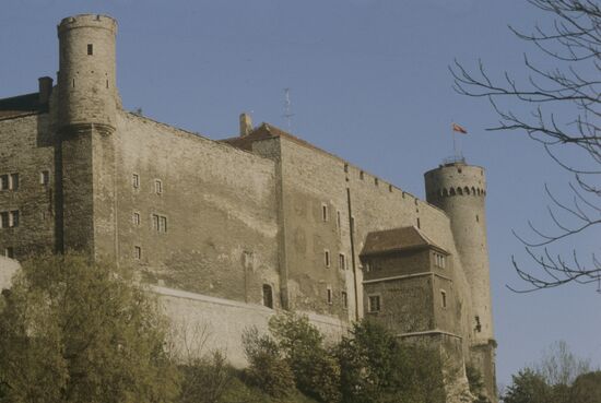 Vyshgorod Castle