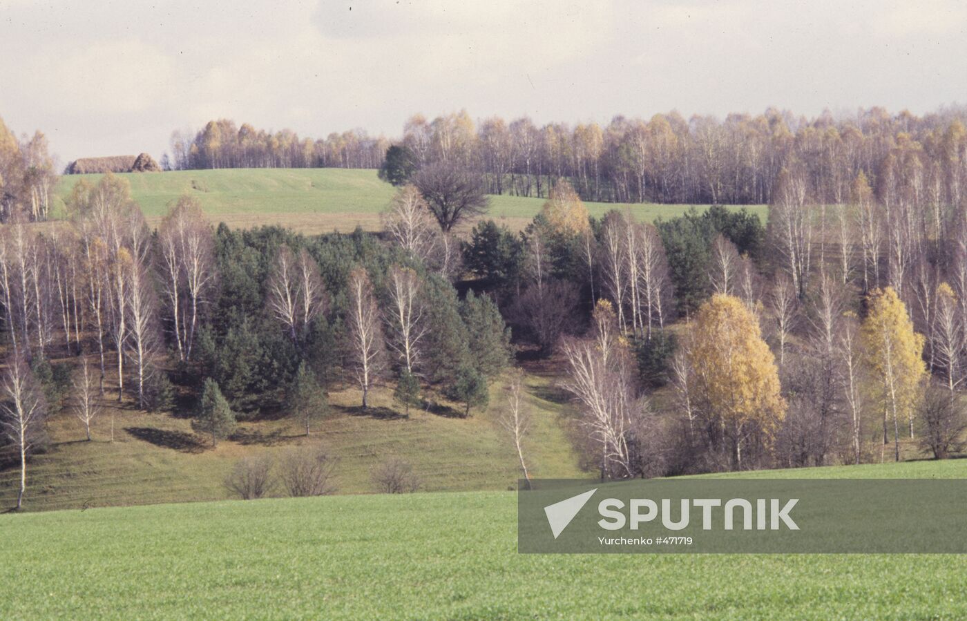 Outskirts of Novgorod-Seversky town