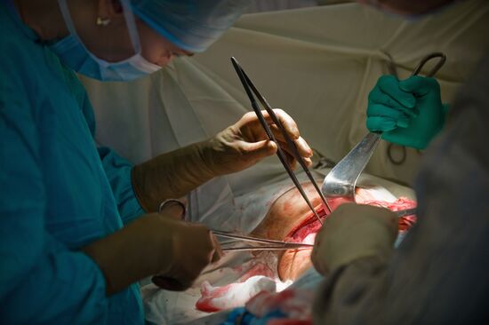 Boris Petrovsky National Research Centre of Surgery