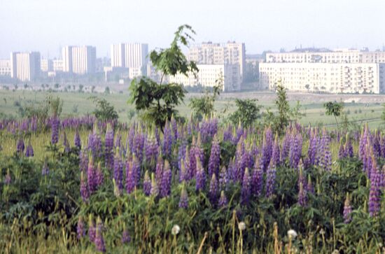 View of Rozdol city