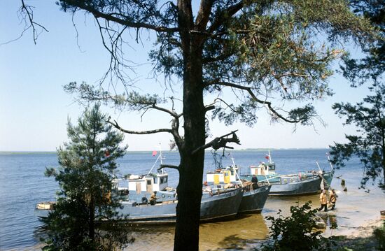 Seiner vessels