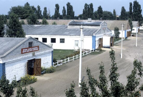 Pig-feeding farm