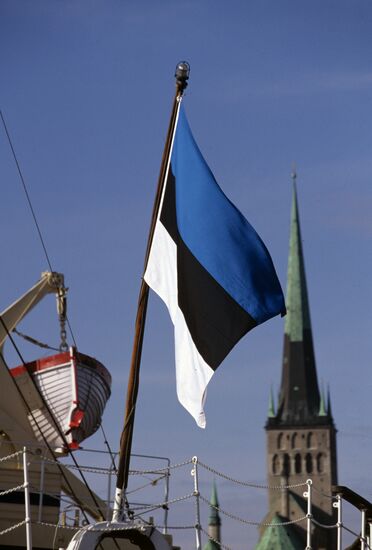 Estonian flag