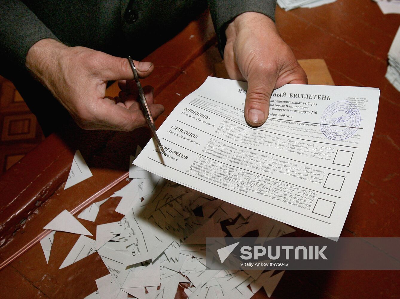 Additional City Duma elections in Vladivostok