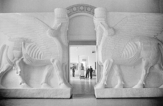 The Pushkin State Museum of Fine Arts