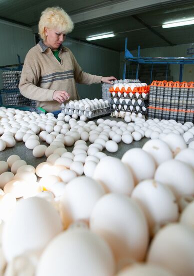 Ostrovnaya Poultry Factory, Yuzhno-Sakhalinsk