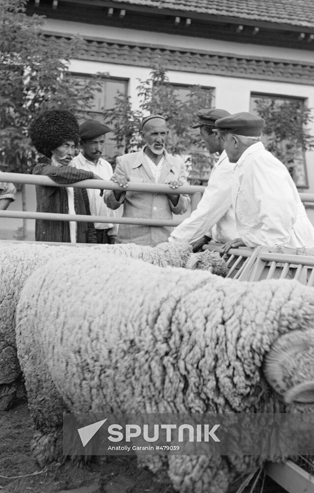 The All-Union Agricultural Exhibition in Moscow