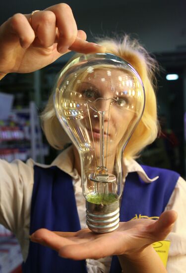 Bulbs