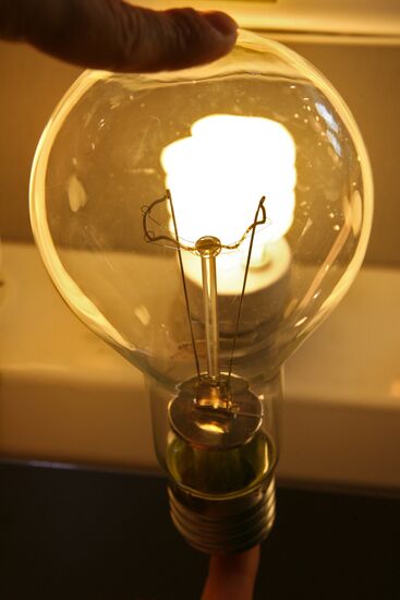 Bulbs