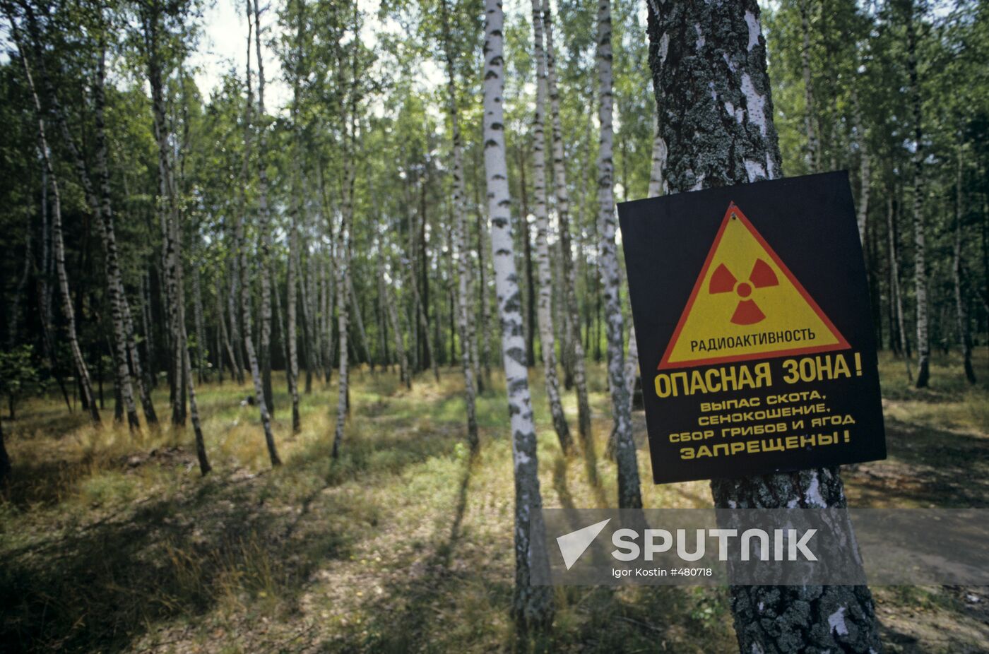 Chernobyl disaster aftermath