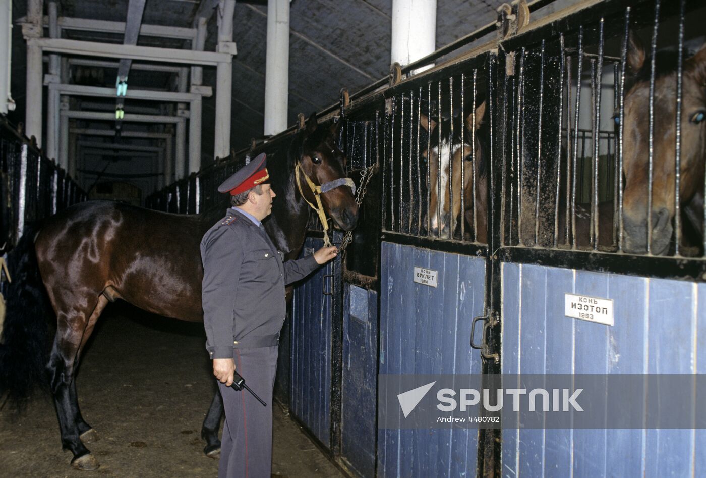 Cavalry battalion stable