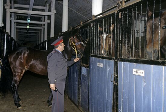 Cavalry battalion stable