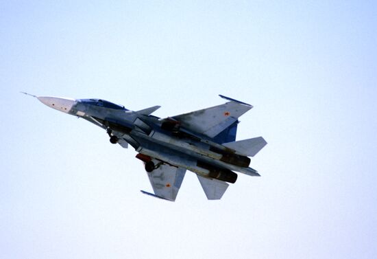 MiG-29 fighter