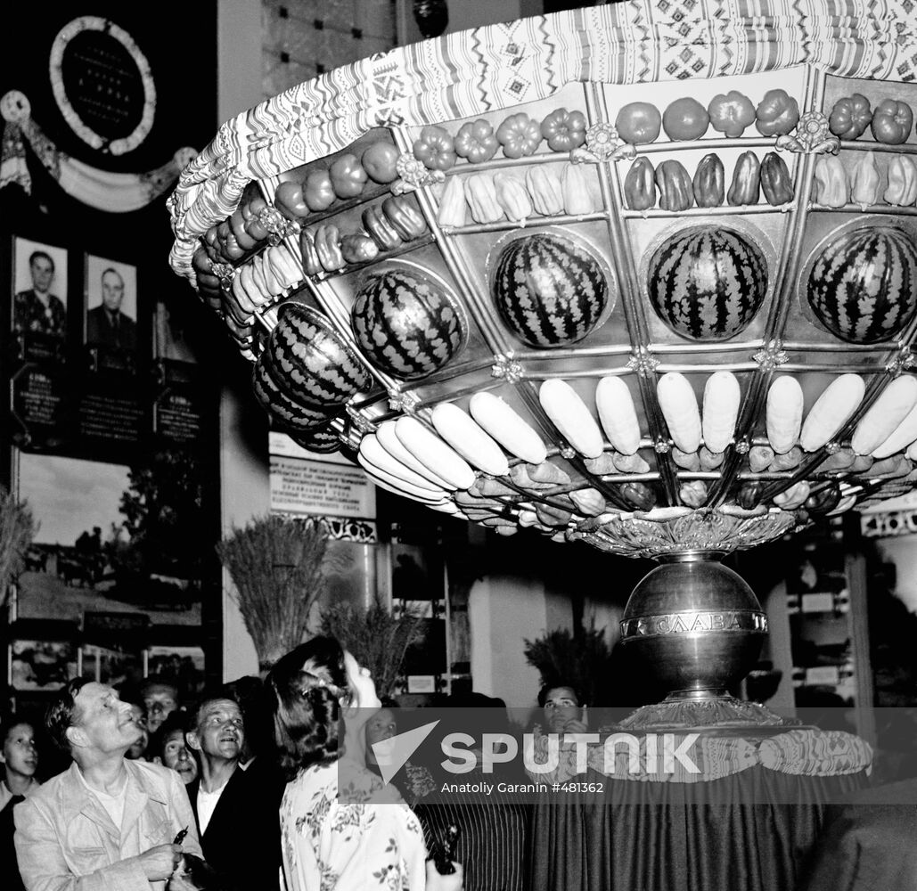 The All-Union Agricultural Exhibition in Moscow