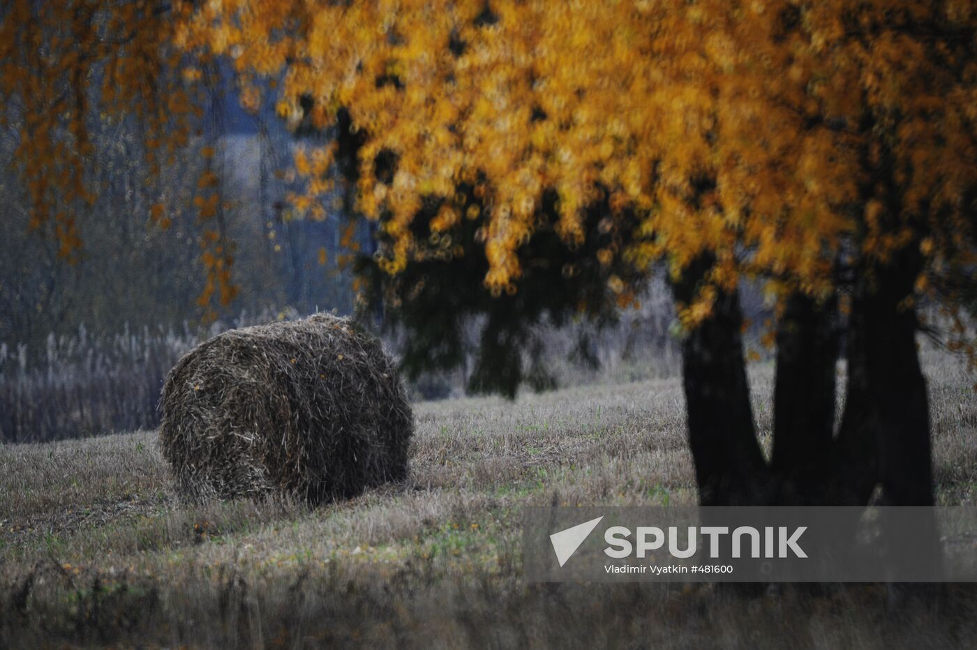 Autumn in Vladimir Region