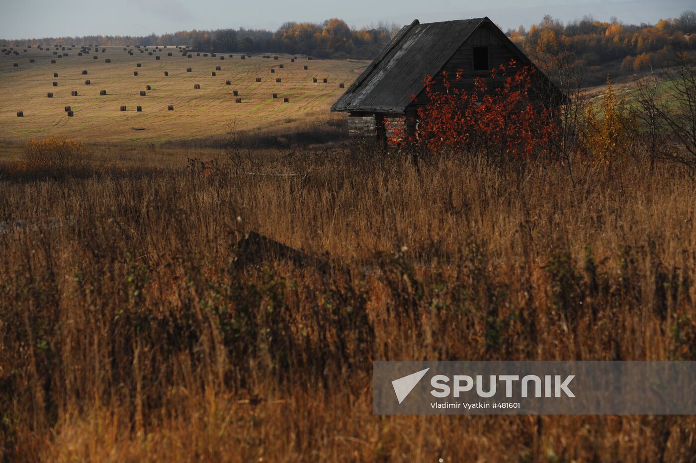 Autumn in Vladimir Region