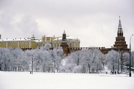 Oruzheynaya and Borovitskaya towers